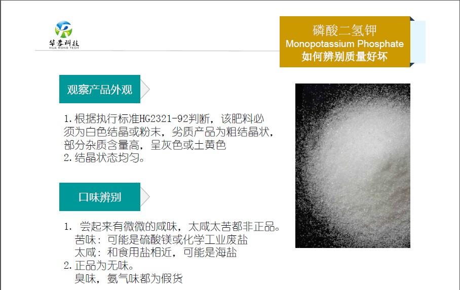 15549635228031.jpg 2sss.jpg